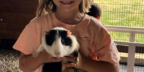Animal-Lover's Mini Day Camp (Fridays in June 11-12 pm)