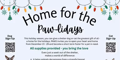 Home for the Paw-lidays 