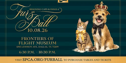 Fur Ball