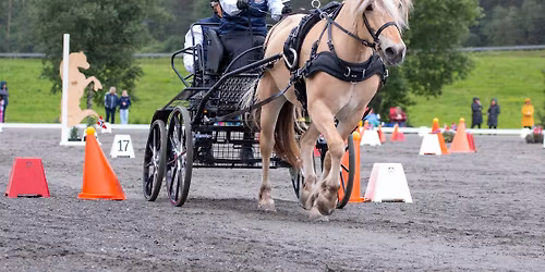 Kj\u00f8restevne Presisjon