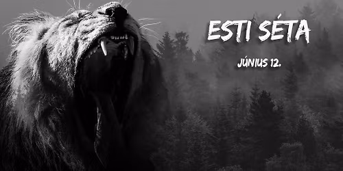 Esti s\u00e9ta az \u00c1llatkertben II.