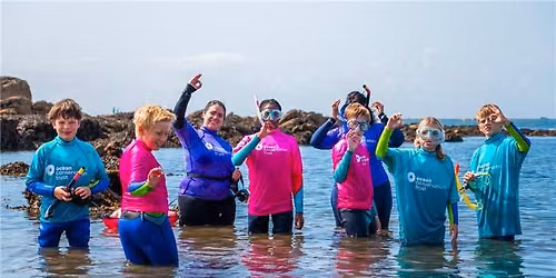 Beginner Snorkel Safari