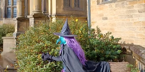 Hallowe'en Trail