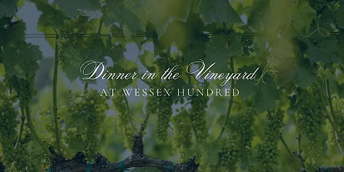 Dinner in the Vineyard