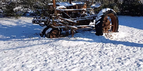 The Sounds of Christmas Concert