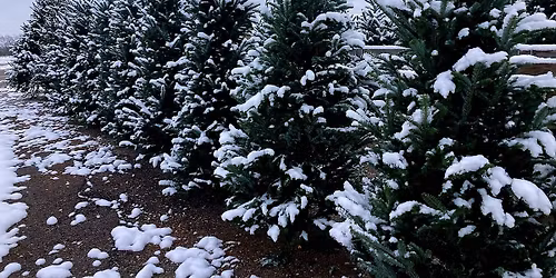 Annual Customer Appreciation Luncheon