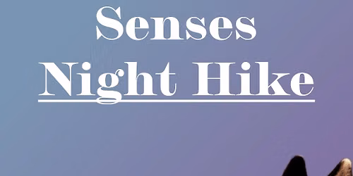 Senses Night Hike