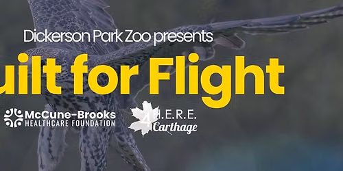 Dickerson Park Zoo - Built for Flight