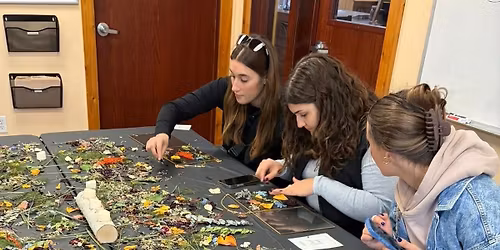 Pressed Flower Frame Workshop