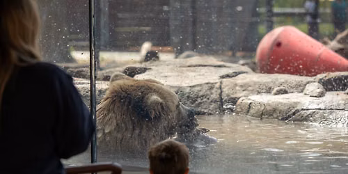 Evenings at the Zoo!