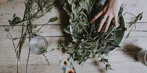Herbal and Nutritive Harm Reduction: Holistic Support for Living Your Best Life