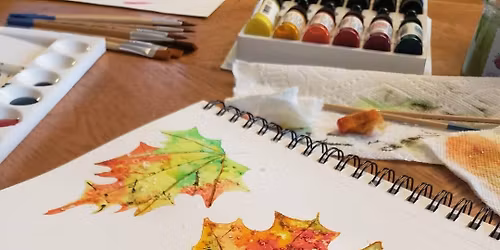 Momco Sip n paint