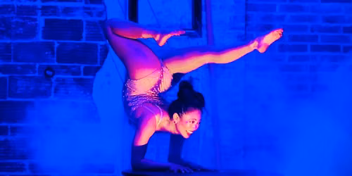 \u2728\ud83c\udfad A Night with beautiful Aerial and Contortion Acts ! \u2728\ud83c\udfad