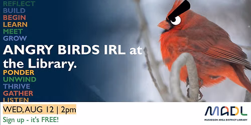 Angry Birds IRL