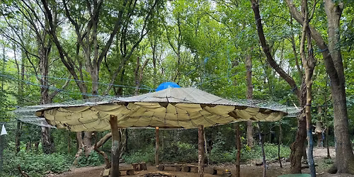 Forest School CPD Day