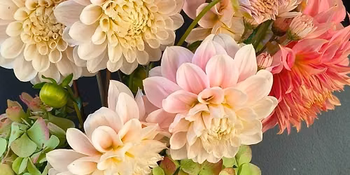 \ud83c\udf38Dahlia Tuber Sale\ud83c\udf38