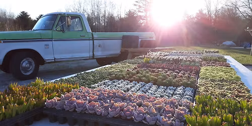 $1 Mother's Day Succulent Bar & Art Show