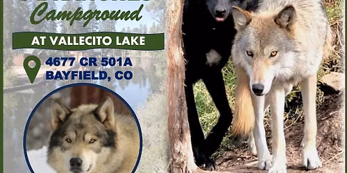 Visiting 5 Branches Campground 