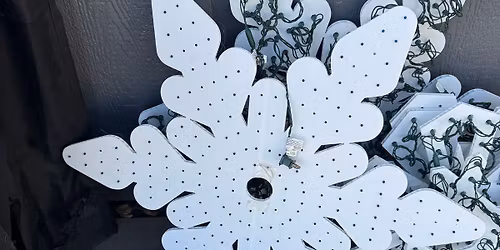 Wilson Family Lights opening night. 