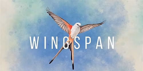 HEAVY Wednesday - WINGSPAN