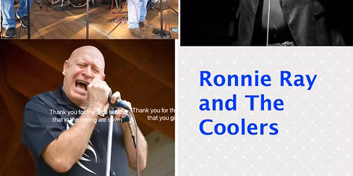 The Alligators with Ronnie Ray at The Epic