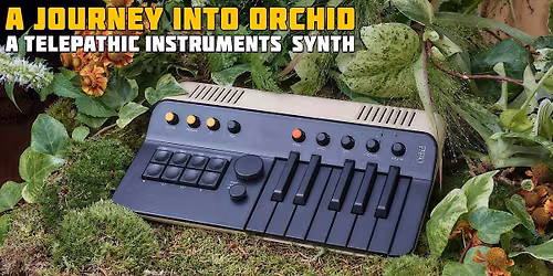 Your journey into Orchid