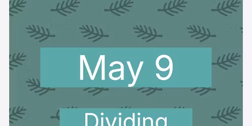 Morning Chat: Dividing Perennials 