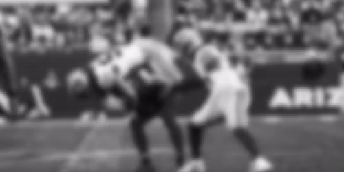 SUITES: Arizona Cardinals at Dallas Cowboys