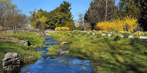 Morning Mindfulness Walk: The Gardens