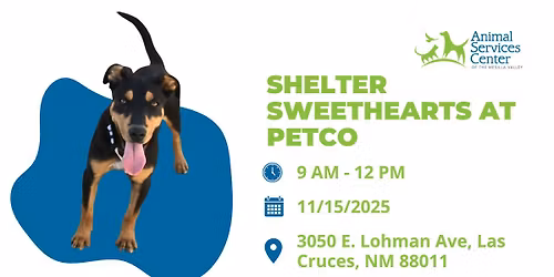 Shelter Sweethearts at Petco