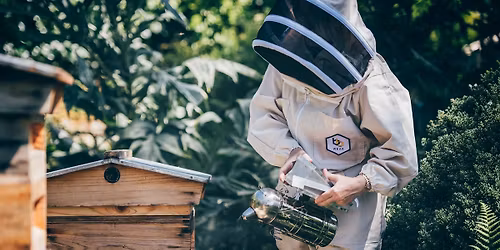 Beekeeping Taster Days | Dyddiau Prawf Cadw Gwenyn