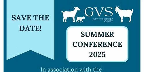 GVS Summer Conference 2026