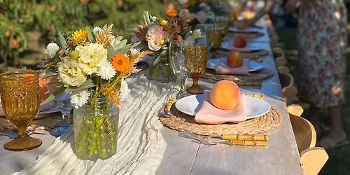 Peach Orchard Promenade 