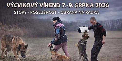 V\u00fdcvikov\u00fd v\u00edkend