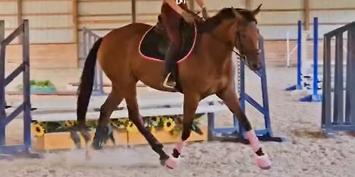 Open Jump\/Flat Schooling - Reservations Required