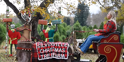 Opening Day 2025 @ Silveyville Christmas Tree Farm