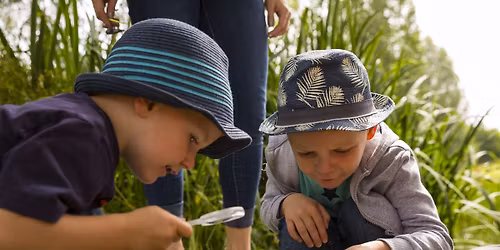 May half term: Pond and bug investigation