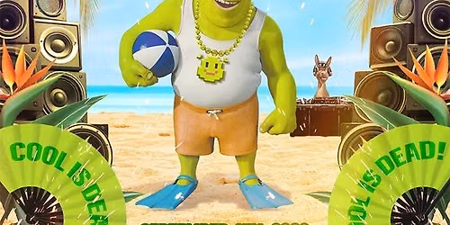 Shrek Rave at Vinyl Music Hall
