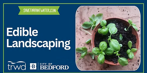 Edible Landscaping