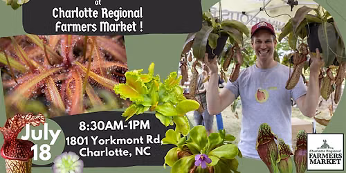 Carnivorous Plant Pop-Up at Charlotte Regional Farmers Market
