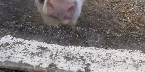 Volunteer Orientation