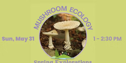 Spring Explorations \u2013 Mushroom Ecology Hike 2026 (Session 1)