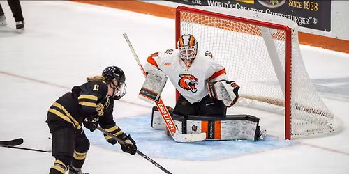 Robert Morris Colonials at Rochester Institute of Technology Tigers Mens Hockey