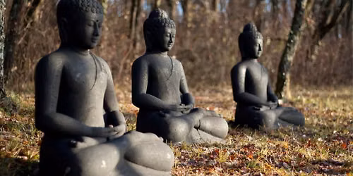 Bi-Weekly Sangha