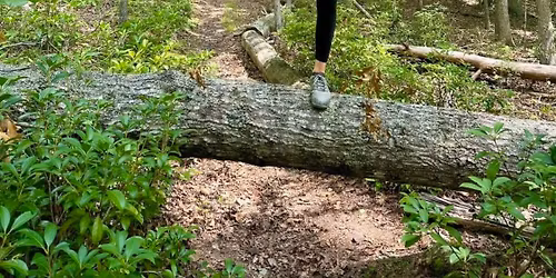 Slow Flow with Brandie