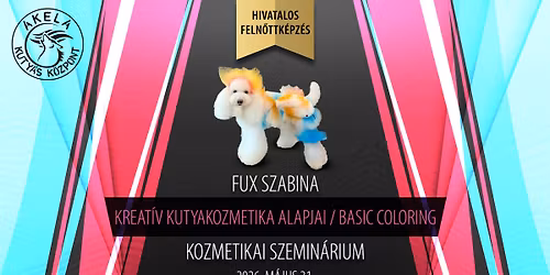 \ud83d\udc29\u2702\ufe0f Kreat\u00edv kutyakozmetika alapjai \/ Basic coloring (1. szint) kozmetikai szemin\u00e1rium \ud83c\udf08