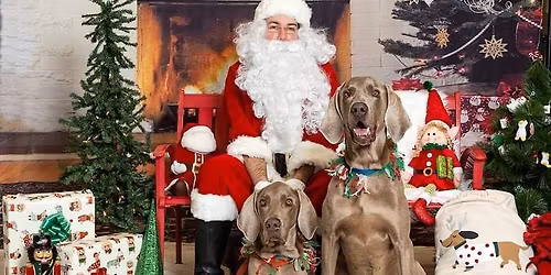 Santa Paws & Pints with Holiday Market
