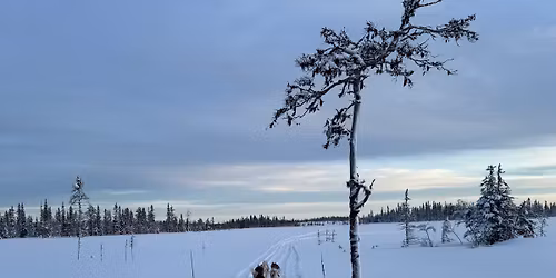 Snowdragons Adventpunsch