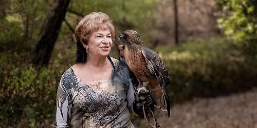 Sky Hunters Event Grant Park