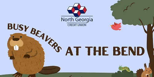 Busy Beavers at the Bend